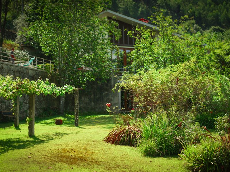 DSC02480