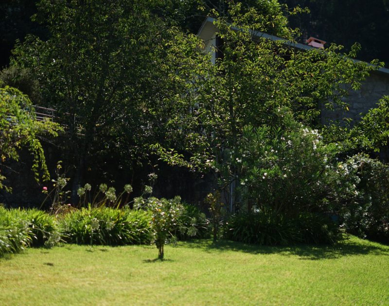 DSC02481