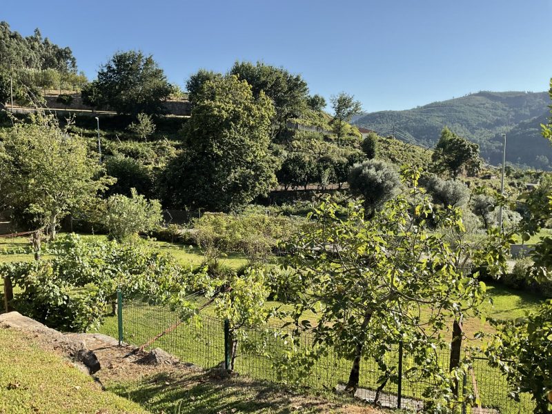 thumbnail_image_50449409 (1)